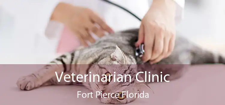 Veterinarian Clinic Fort Pierce Florida