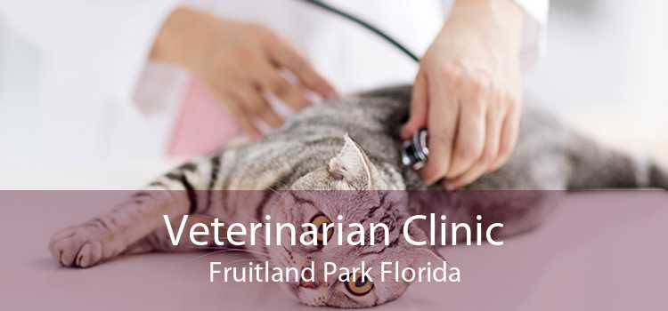 Veterinarian Clinic Fruitland Park Florida