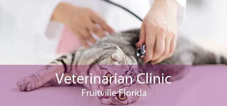 Veterinarian Clinic Fruitville Florida