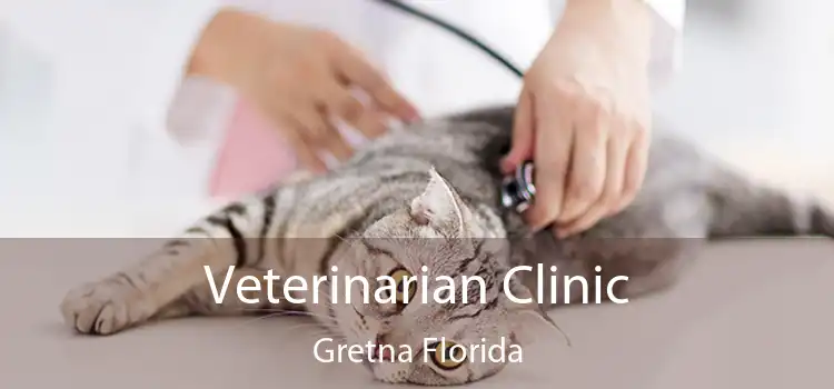 Veterinarian Clinic Gretna Florida