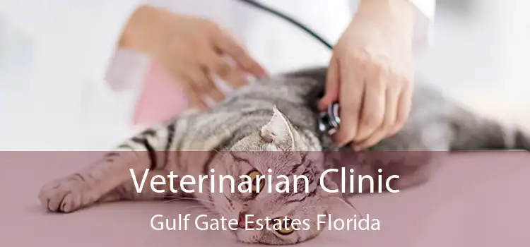 Veterinarian Clinic Gulf Gate Estates Florida