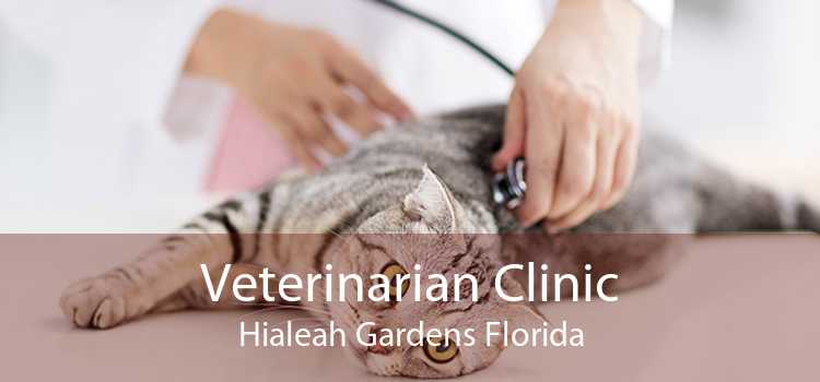 Veterinarian Clinic Hialeah Gardens Florida