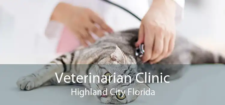 Veterinarian Clinic Highland City Florida