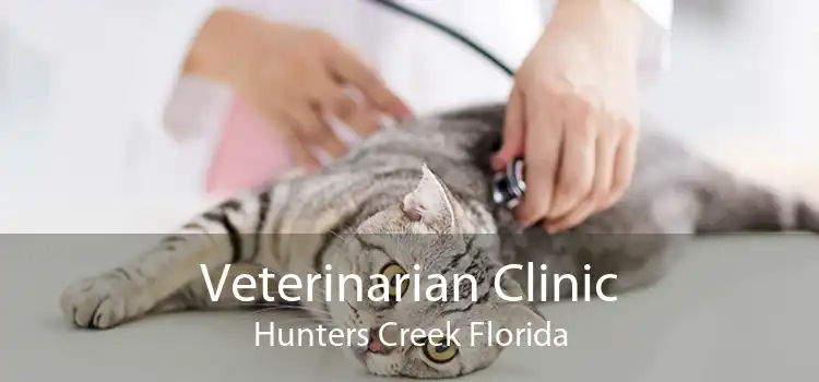 Veterinarian Clinic Hunters Creek Florida