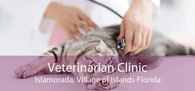 Veterinarian Clinic Islamorada, Village of Islands Florida