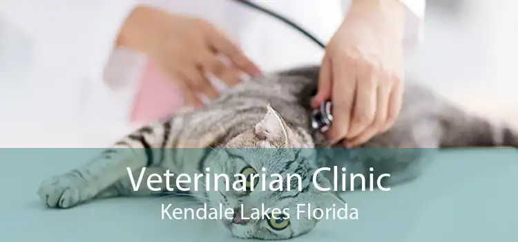 Veterinarian Clinic Kendale Lakes Florida