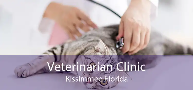 Veterinarian Clinic Kissimmee Florida