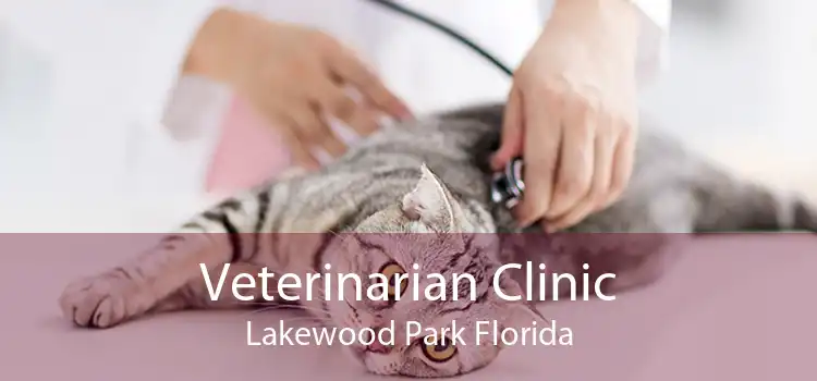 Veterinarian Clinic Lakewood Park Florida