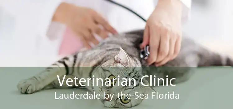 Veterinarian Clinic Lauderdale-by-the-Sea Florida