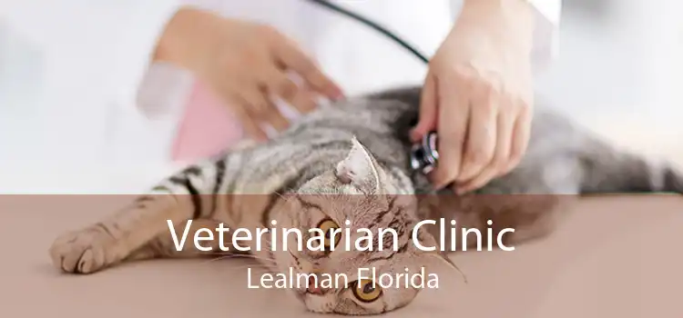 Veterinarian Clinic Lealman Florida