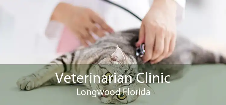 Veterinarian Clinic Longwood Florida
