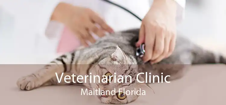 Veterinarian Clinic Maitland Florida
