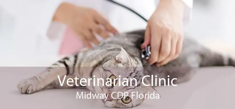 Veterinarian Clinic Midway CDP Florida
