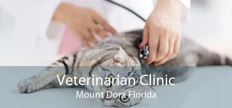 Veterinarian Clinic Mount Dora Florida