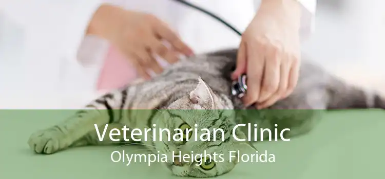 Veterinarian Clinic Olympia Heights Florida