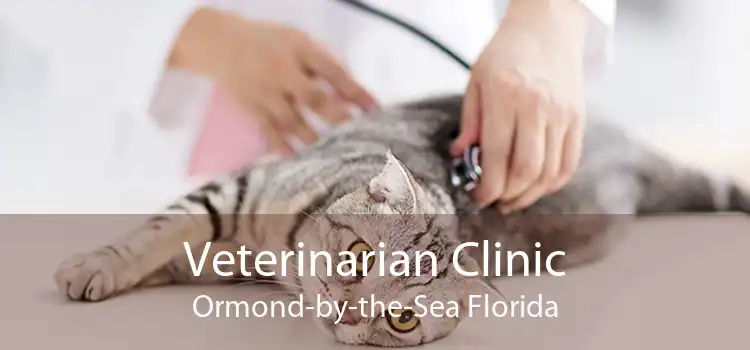 Veterinarian Clinic Ormond-by-the-Sea Florida