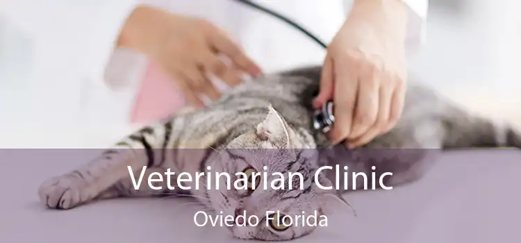 Veterinarian Clinic Oviedo Florida