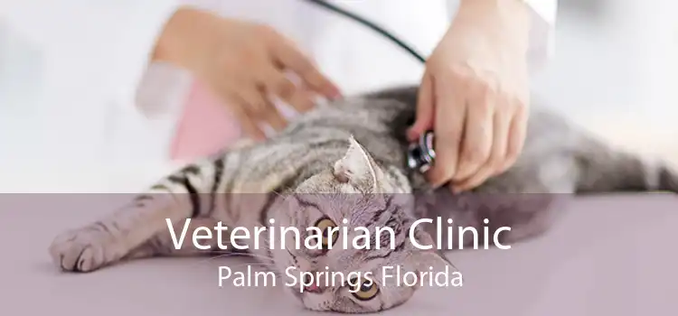 Veterinarian Clinic Palm Springs Florida