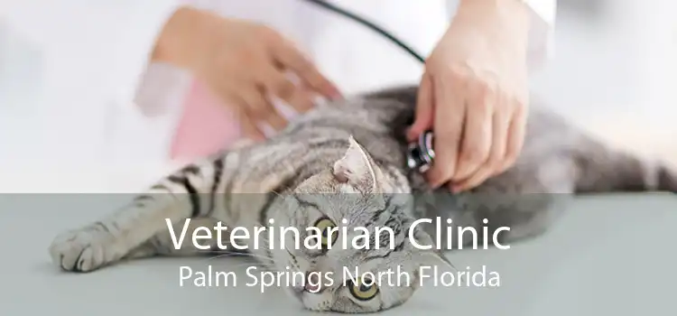 Veterinarian Clinic Palm Springs North Florida