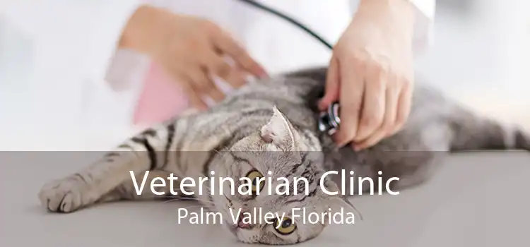 Veterinarian Clinic Palm Valley Florida