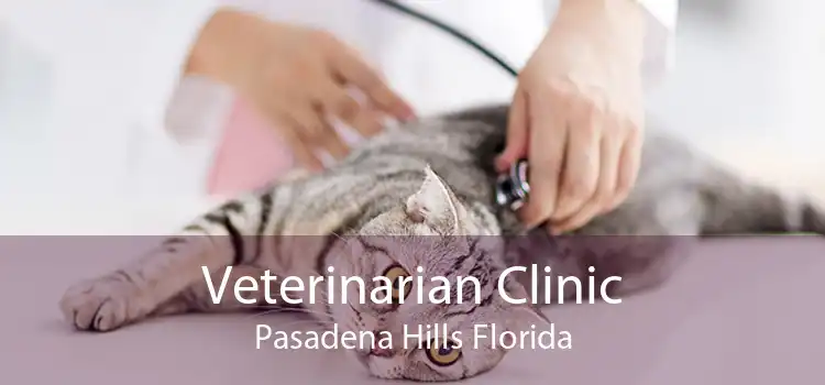 Veterinarian Clinic Pasadena Hills Florida