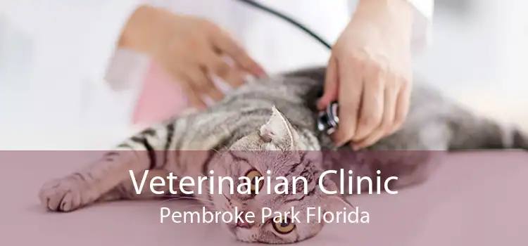 Veterinarian Clinic Pembroke Park Florida