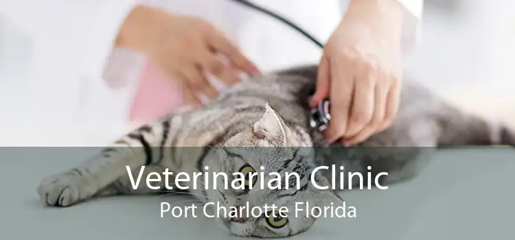 Veterinarian Clinic Port Charlotte Florida