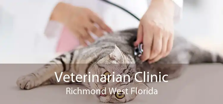 Veterinarian Clinic Richmond West Florida