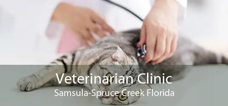 Veterinarian Clinic Samsula-Spruce Creek Florida