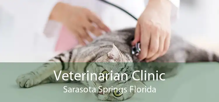 Veterinarian Clinic Sarasota Springs Florida