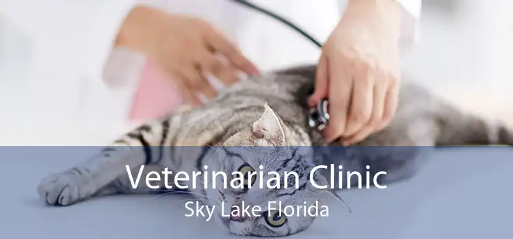 Veterinarian Clinic Sky Lake Florida
