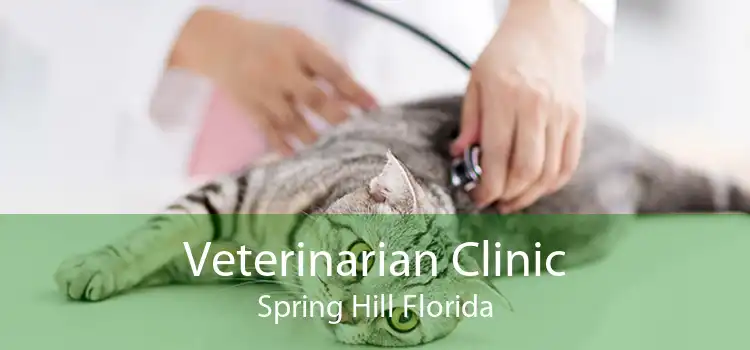 Veterinarian Clinic Spring Hill Florida