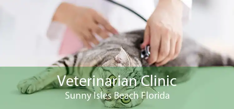 Veterinarian Clinic Sunny Isles Beach Florida