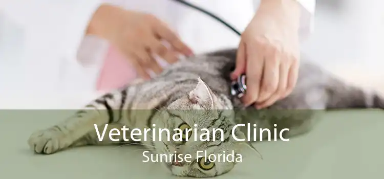 Veterinarian Clinic Sunrise Florida