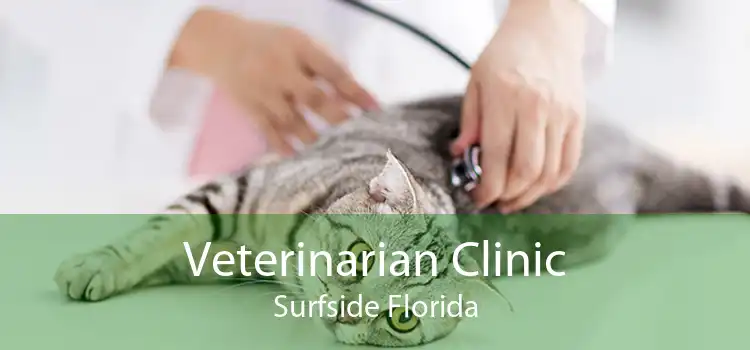 Veterinarian Clinic Surfside Florida