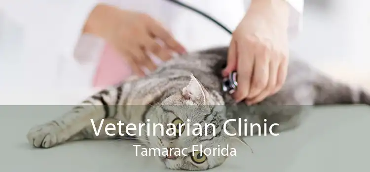Veterinarian Clinic Tamarac Florida