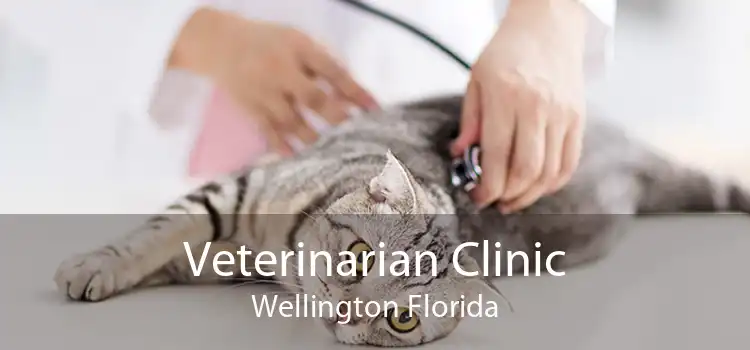 Veterinarian Clinic Wellington Florida