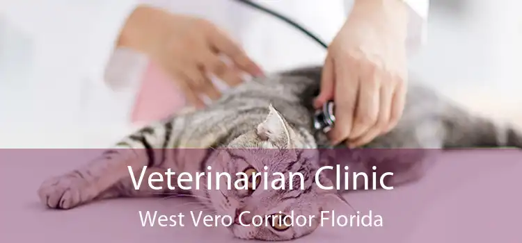 Veterinarian Clinic West Vero Corridor Florida