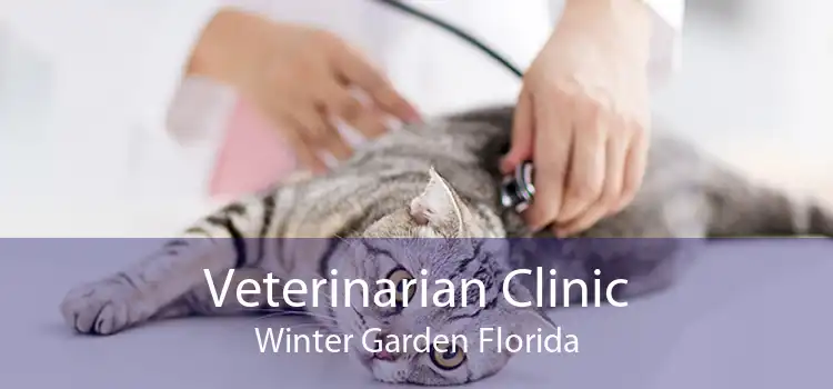 Veterinarian Clinic Winter Garden Florida