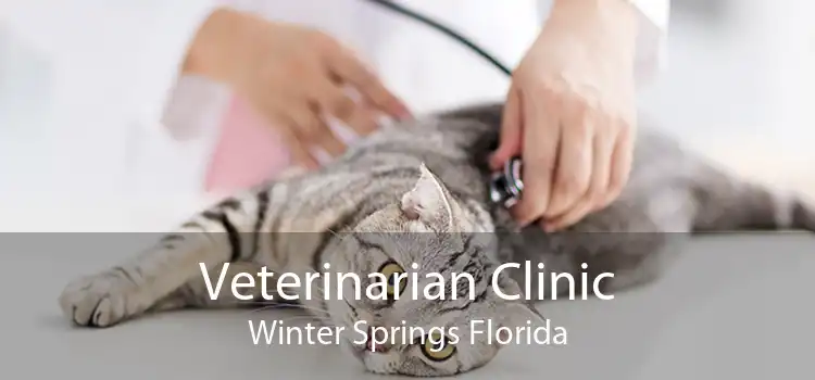 Veterinarian Clinic Winter Springs Florida