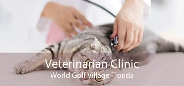Veterinarian Clinic World Golf Village Florida