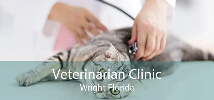 Veterinarian Clinic Wright Florida
